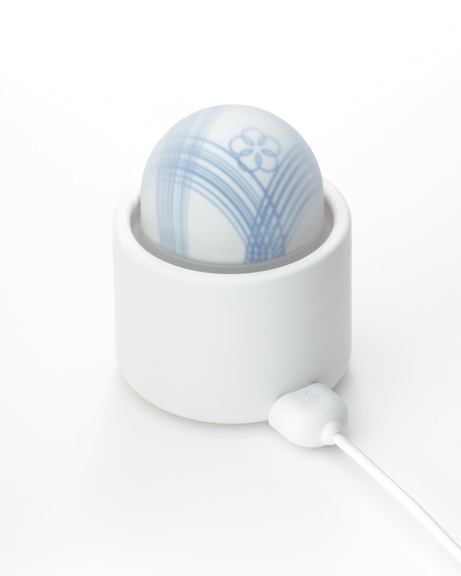 temari charging